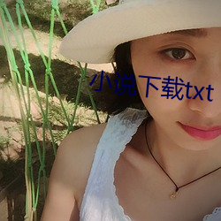 小说下载txt