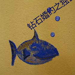 钻石婚约之独占神秘妻