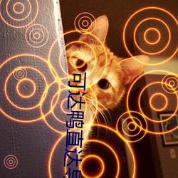可达鸭(yā)直达导(dǎo)航