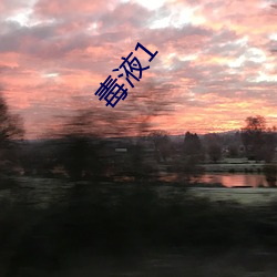 毒(dú)液1