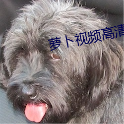 萝(luó)卜视频高清版免费(fèi)下载