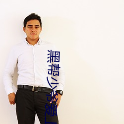 黑帮少爷爱上我全集在线观
