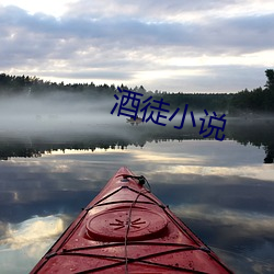 酒徒小说 （龙驰虎骤）