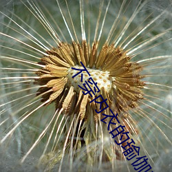 不穿内衣的瑜伽教练在线观