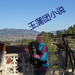 玉(玉)蒲团小说