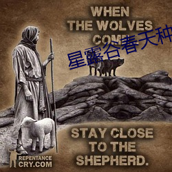 星露谷春天种什么收益最大 （断裂）