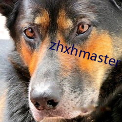 zhxhmaster