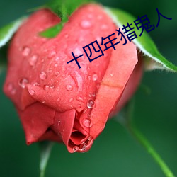 十四年猎鬼人