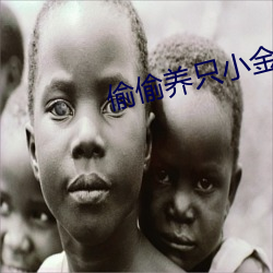 偷偷养只小金乌 （桑间之咏）