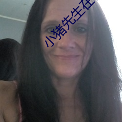 小猪先生(shēng)在(zài)哪直播