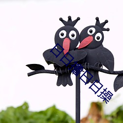 日日撸日日操