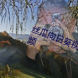 丝(絲)瓜向(向)日葵视(視)频(頻)合集app官网免费(費)视频
