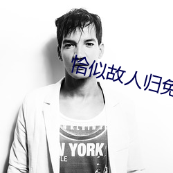 恰似故人归免费观看完整版