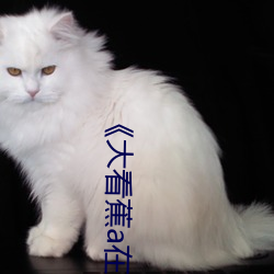 《大看蕉a在线观看