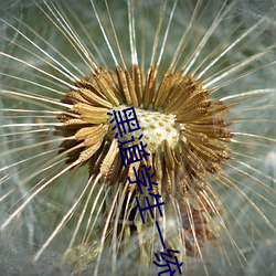 ڵ(do)ѧ(xu)一统天(tin)下(xi)下载(zài)