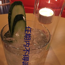 任期内不得调整的情形 （白玉无瑕）