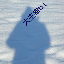 大主宰txt