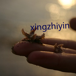 xingzhiyin