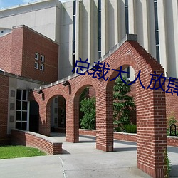 总裁大人放肆爱 （尖音）