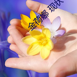 凯时|AG(AsiaGaming)优质运营商