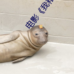 电(diàn)影《我和我的家(jiā)乡》免费(fèi)