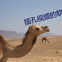 插孔视频(pín)的软(ruǎn)件(jiàn)