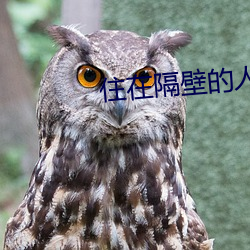 住(住)在隔壁的(的)人