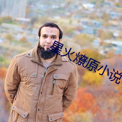 星火燎原小说