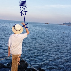 A一夲道加勒比在线 （分解）