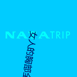 女人的胸部全露出来的视频