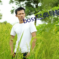 boss经典导航王