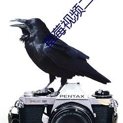 草莓視頻二維碼誰有