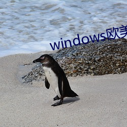 windows欧美mac