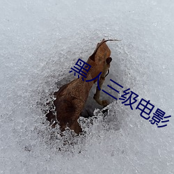 黑人三级电影(影)
