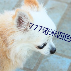 777奇米四色眼影九色