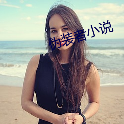 伪装(zhuāng)者小(xiǎo)说