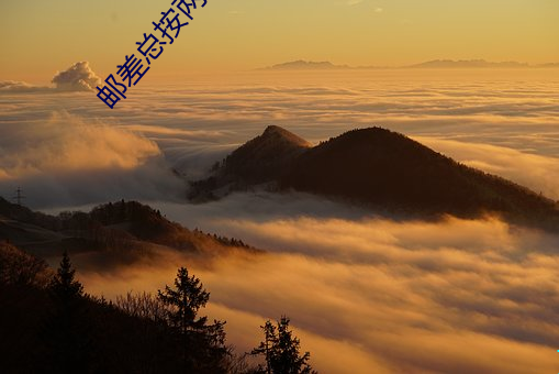 邮差总按(àn)两次铃