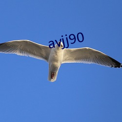 avjj90