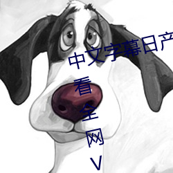 中文字幕日産亂碼一二三區免費觀看全網VIP影視下載
