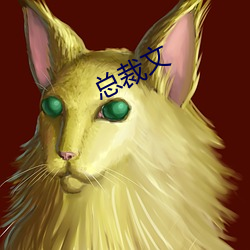 总裁文