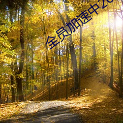 全员(員)加速中(中)2023免(免)费观看
