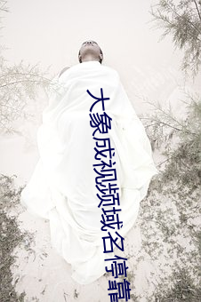 大(大)象成(成)视(視)频域名(名)？(靠)