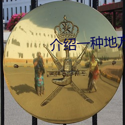 介(jiè)绍一种地方(fāng)戏(xì)曲