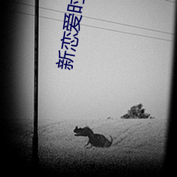 新恋爱时代邓小可的爸(bà)爸(bà)