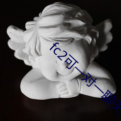 fc2可一對一聊天