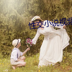 性交小说视频