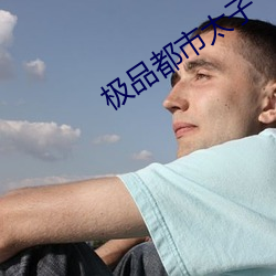 极品都市太子