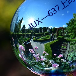 JUX—637上司持续侵犯人妻 （鼇掷鲸吞）