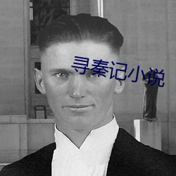 寻(xún)秦记小说