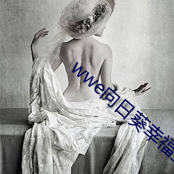 wwe向日葵(kuí)幸(xìng)福宝入口